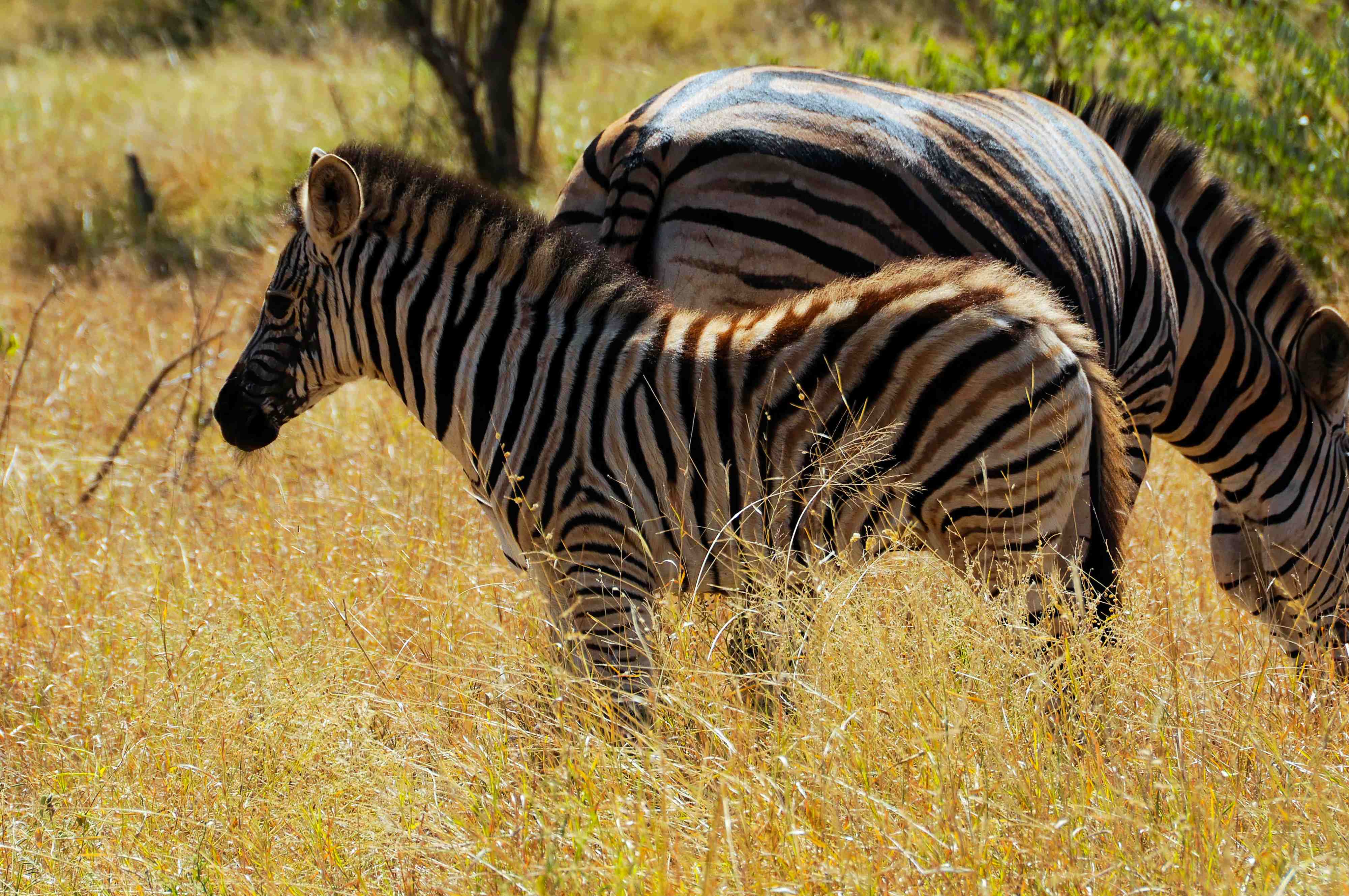 2008