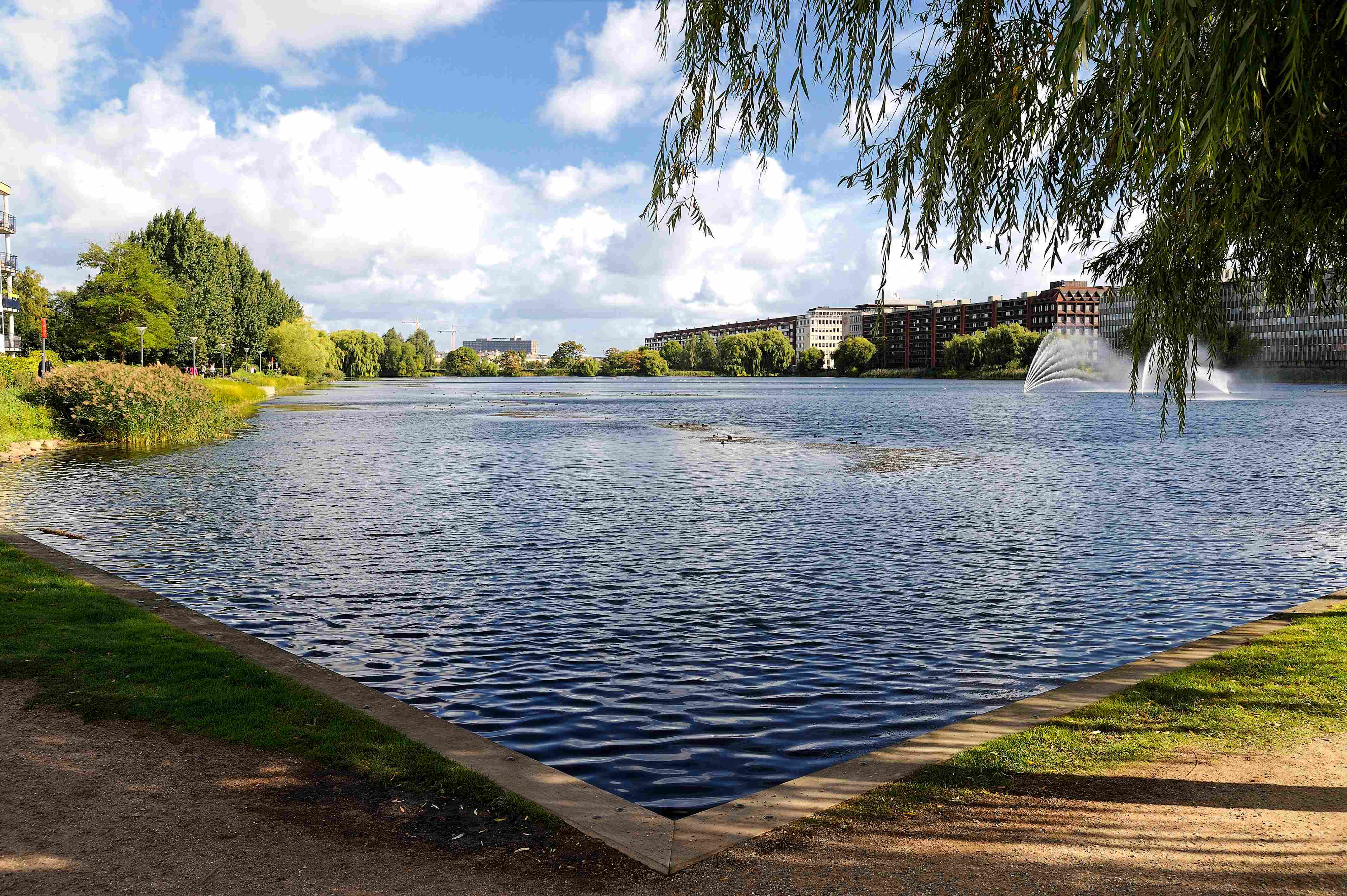 Bild