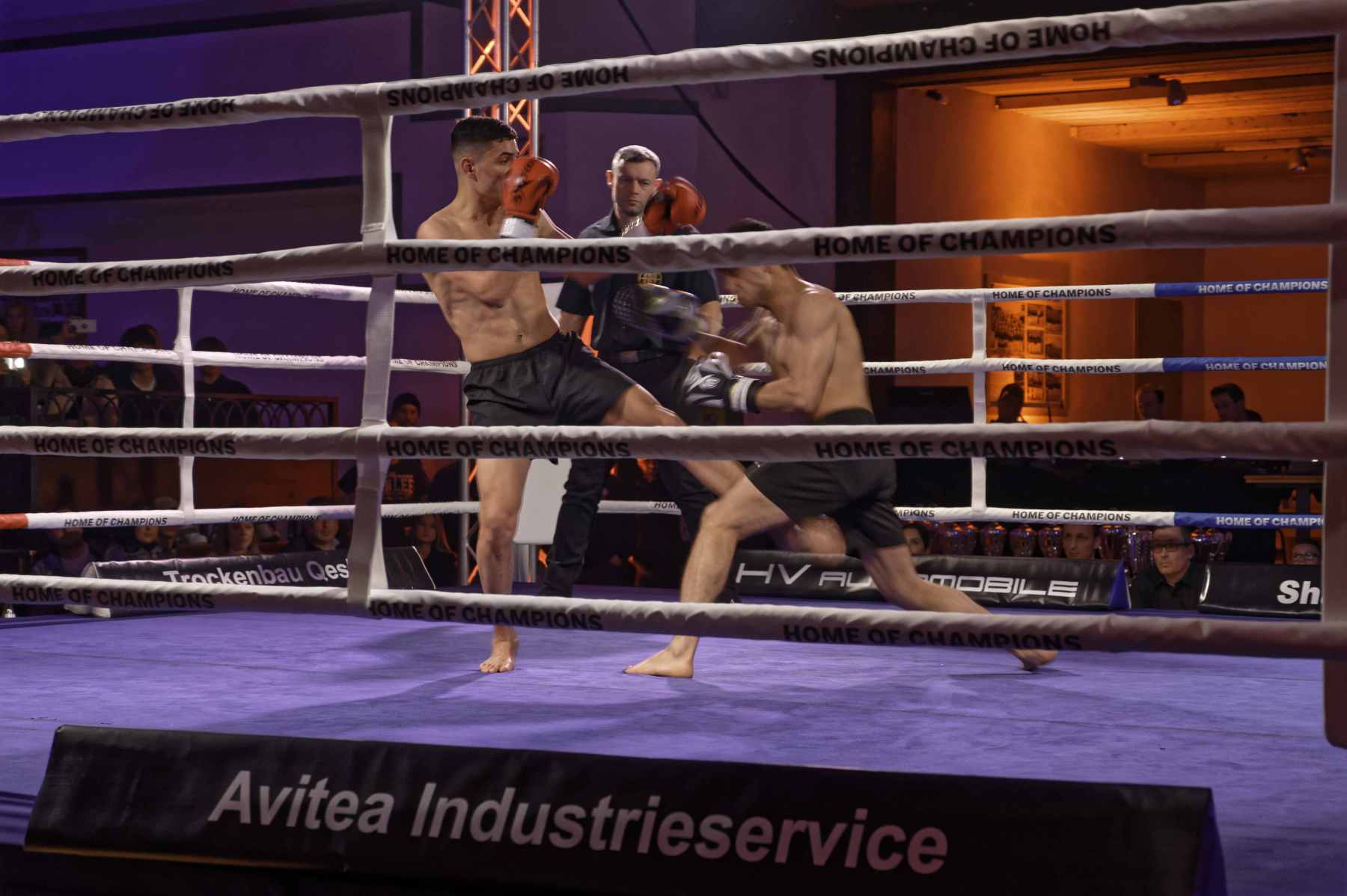 Bild