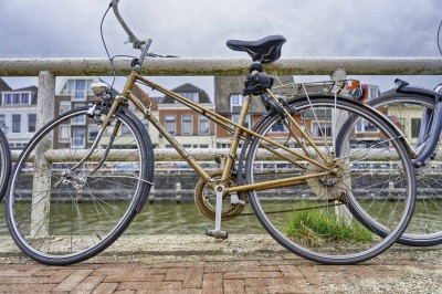 Bild