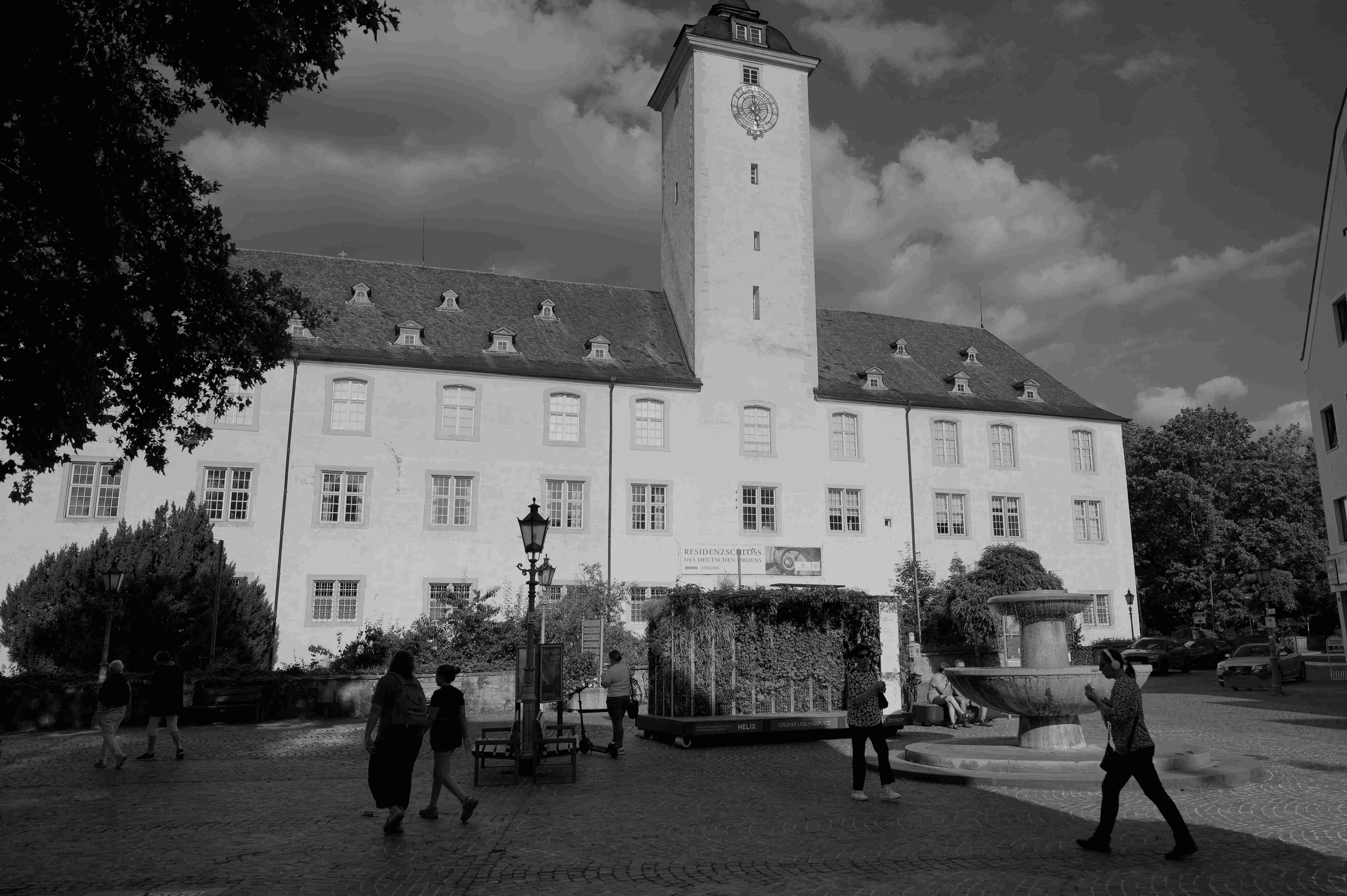 Bild