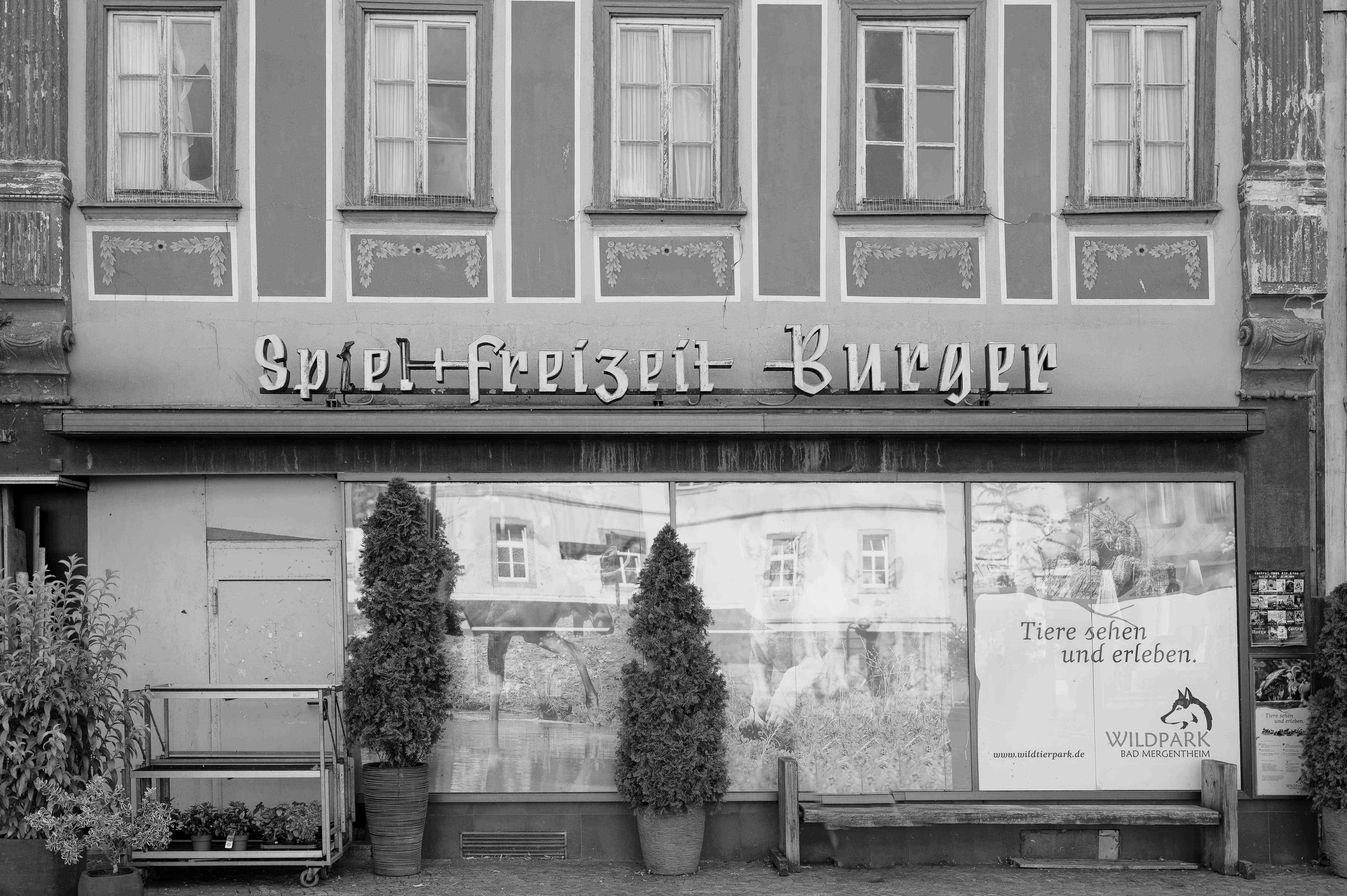 Bild