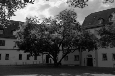 Bad-Mergenheim