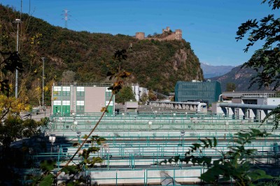 Bild