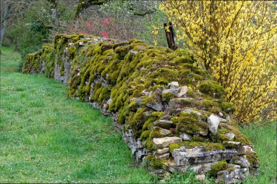 Burgund