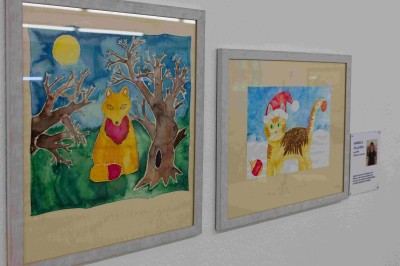 Bild