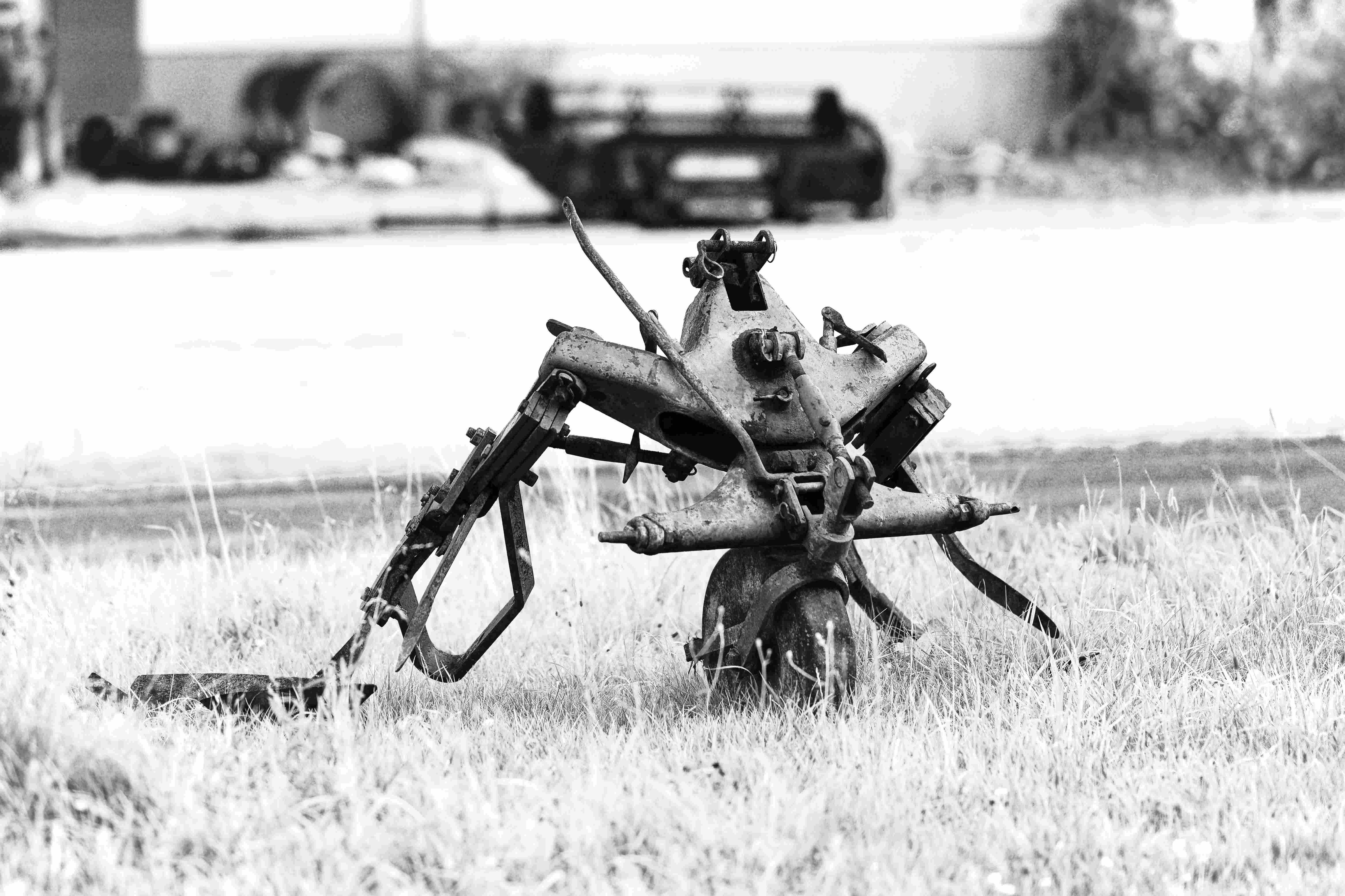 Bild