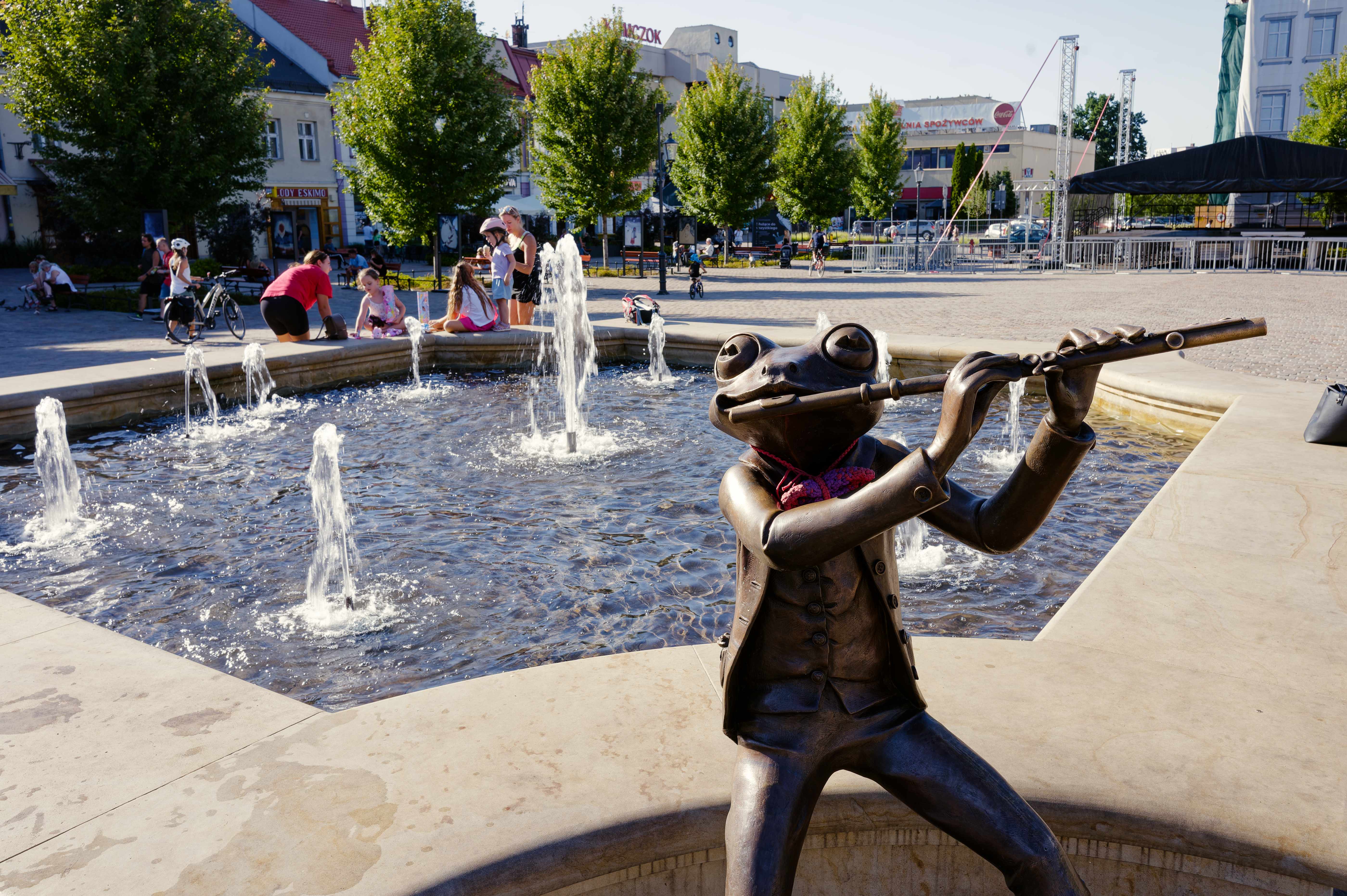Bild