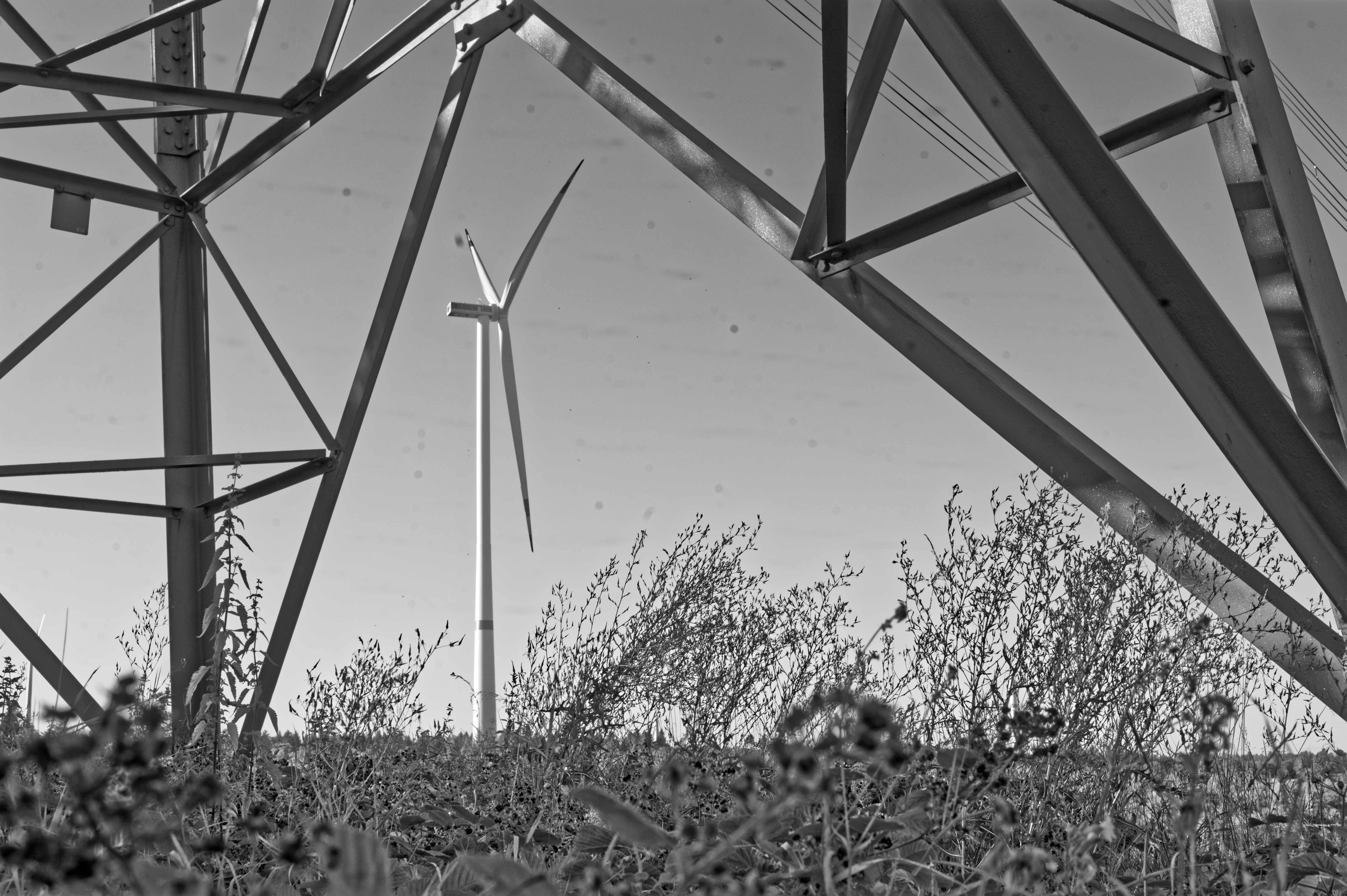 Bild